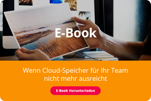 Das Cover eines E-Book, es zeigt ein Paar Hände, die ein ausgedrucktes Foto zum Vergleich mit weiteren Fotos auf einem Bildschirm im Hintergrund hochhalten.