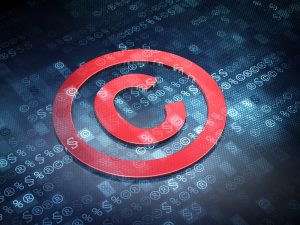 Fair use images – Understanding your image rights | Canto