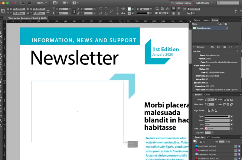 Ein Nutzer legt mit Adobe InDesign einen Newsletter an.