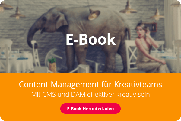 Deckblatt eines E-Books: eine elegante Dame sitzt in einem Raum mit einem Elefanten, der im Hintergrund die Möbel zerstört.