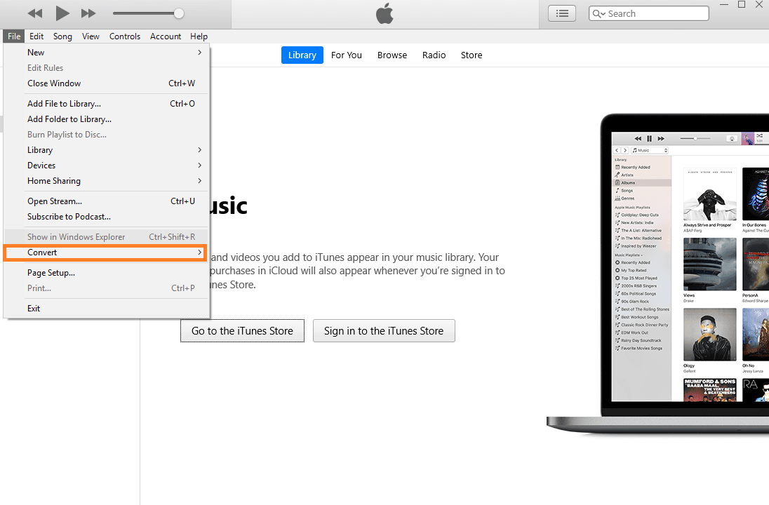 Ein Screenshot von iTunes.